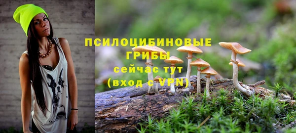 винт Саяногорск