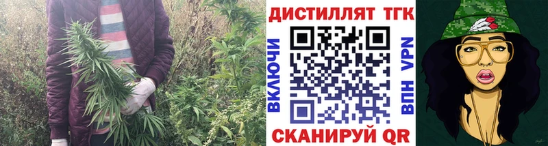 ТГК THC oil  shop формула  Севск 